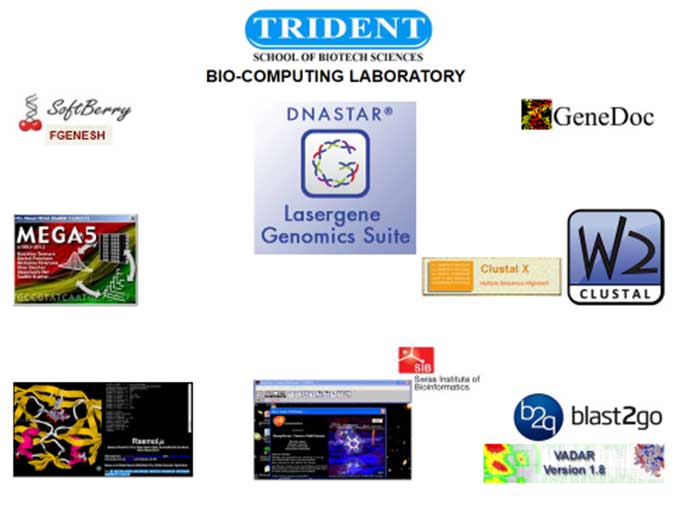 Biocomputing Lab