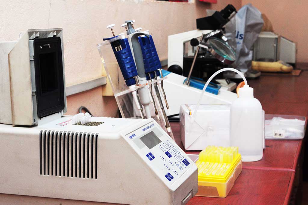 Molecular Biology Lab