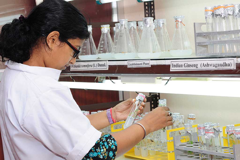 Plant Tissue Culture Lab