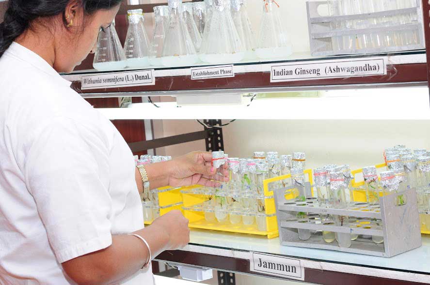 Plant Tissue Culture Lab