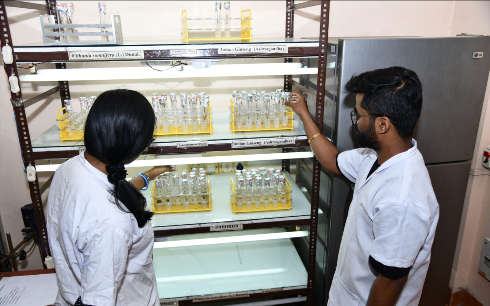 Research laboratory at TSBS
